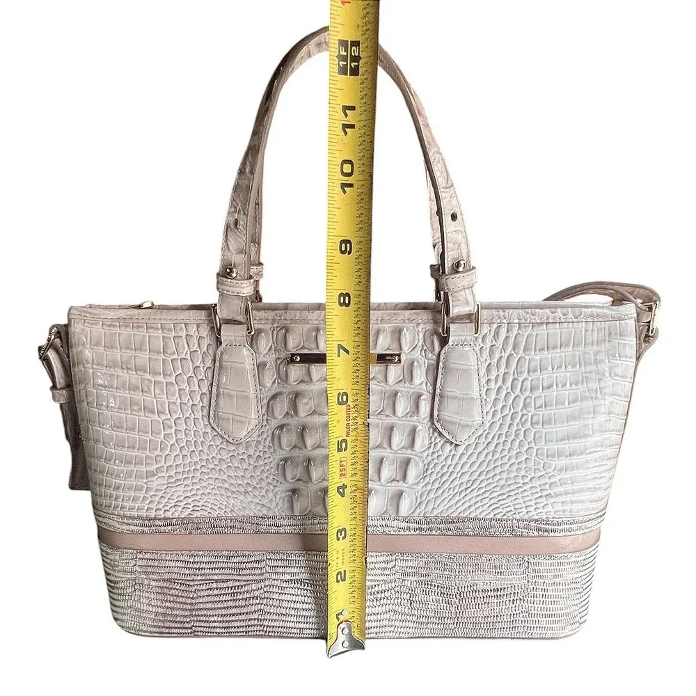 Brahmin mini asher